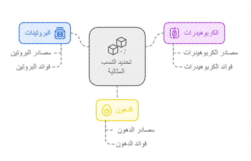 تحديد النسب المثالية للبروتين، الكربوهيدرات والدهون